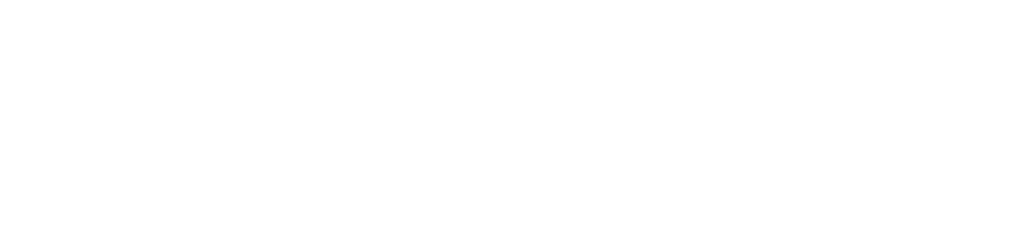 why y&p